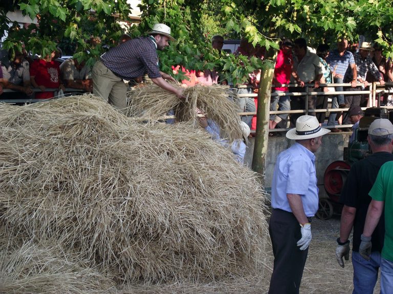 Malla en Rubián